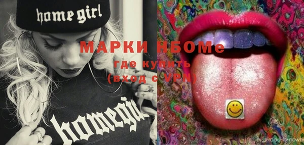твердый Арсеньев