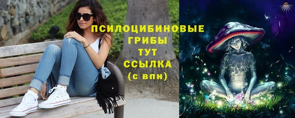 гашик Армянск