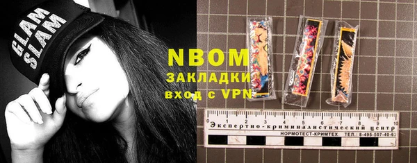 твердый Арсеньев