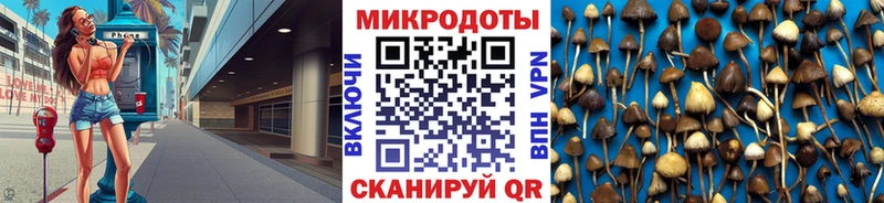 наркота  Певек  Псилоцибиновые грибы прущие грибы 